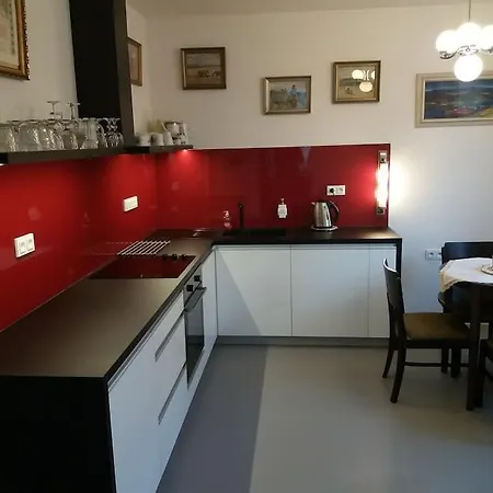 Vichova Vila_1935 - Funkcionalisticky Skvost V Horicich V Podkrkonosi Appartement Hořice